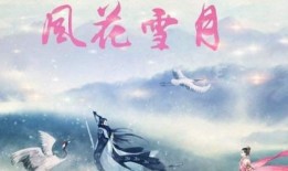 在线观看风花雪月,穿越时空的浪漫邂逅